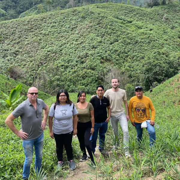 Fornitori di zenzero in Perù