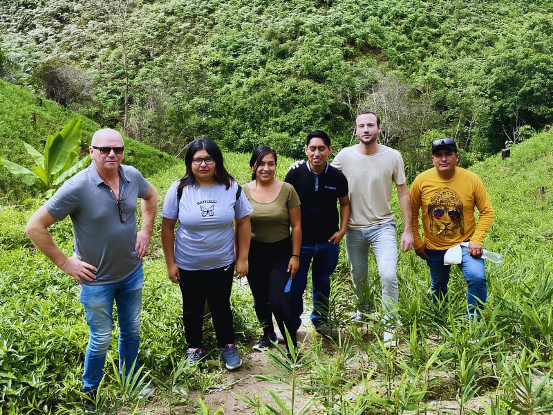 Organic ginger farm in Peru