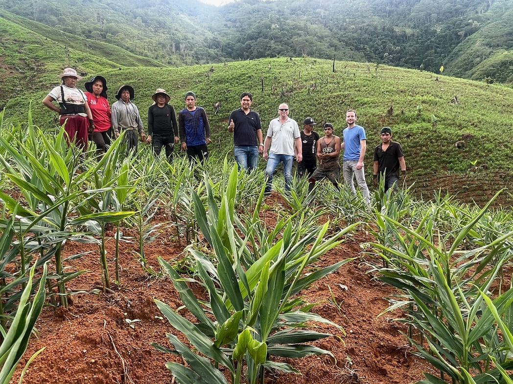 Now organic in Peru